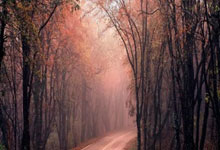 澳门新葡京官网：球员锦标赛签表出炉！冠军奖金15万英镑，丁俊晖.