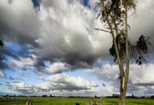 澳门新葡京官网：欧国联-姆巴佩锋群哑火佩里西奇传射 克罗地亚2-0法国.