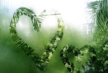 澳门新葡京官网：白水苹果杯第五届中国女子围棋国手赛本赛名单产生.