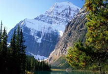 巴西队3月名单号码：罗德里戈10号，拉菲尼亚11号，佩德罗9号.