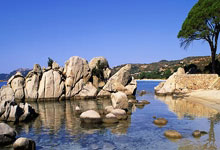 澳门新葡京官网：切尔西官方：帕尔默将留队养伤，并退出本期英格兰队名单.